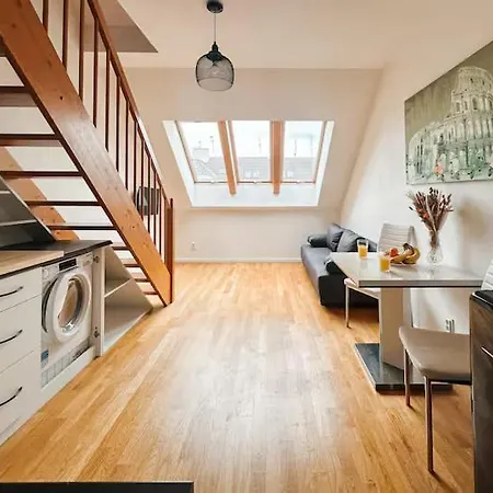 Penthouse With A Large Terrace Prokop Apartment Prague